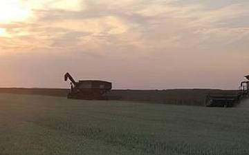 A truck is parked in the middle of a field.