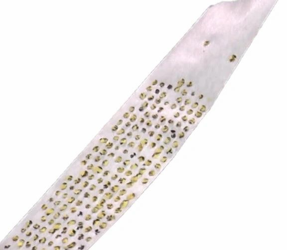 A white tie with gold and black dots on it.